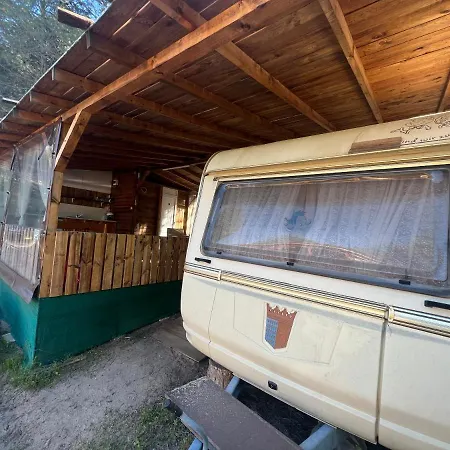 каравана чайка סוזופול