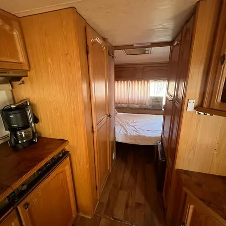 каравана чайка *