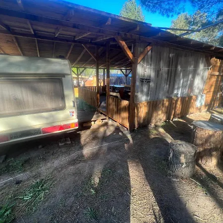 каравана чайка סוזופול