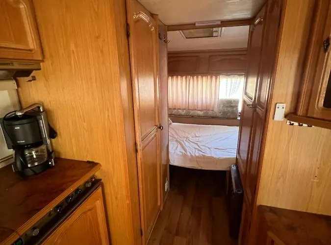 каравана чайка *