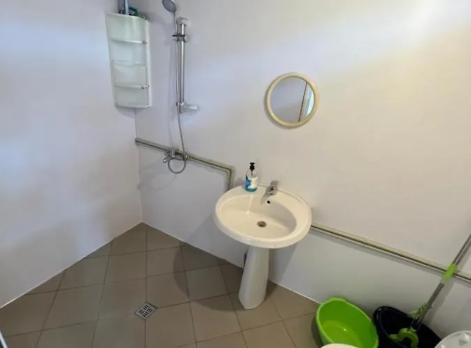 каравана чайка סוזופול