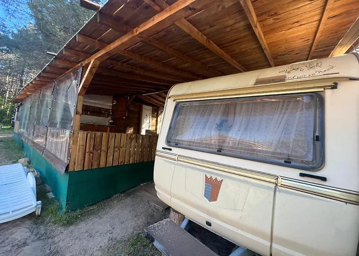 каравана чайка Созопол