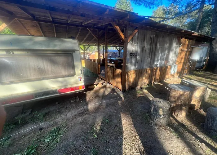 каравана чайка Созопол