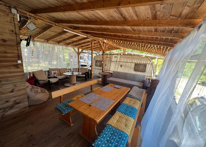 каравана чайка